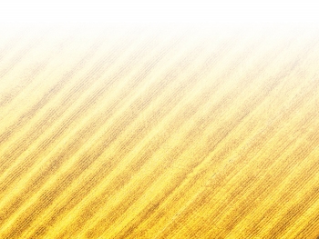 智能農(nóng)機、“訂單”服務、“云端”種菜——來自江西的春耕“新事”